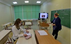 Родители почти 4 тысяч петербургских школьников перевели детей на семейное обучение