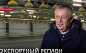 Александр Дрозденко побывал на только что открытой птицефабрике в Молодцово