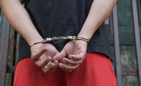 Полиция задержала двух жителей Гатчинского района с тремя килограммами марихуаны