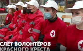 В Тосно прошёл слёт волонтеров Красного Креста Ленобласти