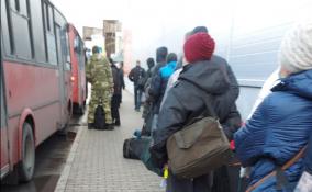 Жители Кингисеппа пожаловались, что стоят в огромных очередях на единственный автобус до Петербурга