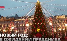 По результатам
соцопроса, около 70% россиян собираются
отметить Новый год дома