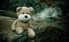 В Приозерском районе отчим изнасиловал семилетнюю девочку