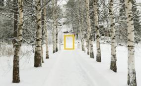National Geographic признал парк «Монрепо» в Выборге одним из самых красивых мест России