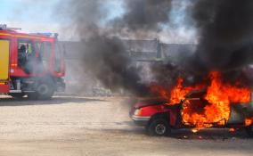 За 2021 год в Санкт-Петербурге сгорели 456 машин