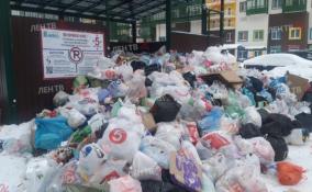 Мусорный коллапс в Мурино: из дворов не могут вывезти мусор из-за неправильной парковки