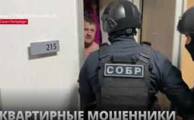 В Петербурге полицейские задержали предполагаемых мошенников в сфере недвижимости