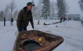 Прокуратура Петербурга проверяет дорожные предприятия после жалоб на уборку снега