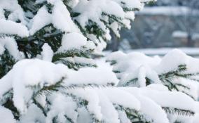 МЧС предупреждает жителей Ленобласти о сильном снегопаде в ближайшие три дня