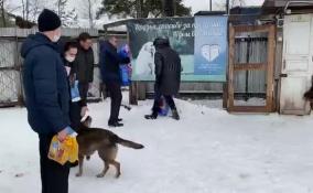 Ленинградцы несут в МФЦ корм для животных