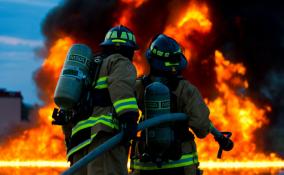 В Гатчине из полыхающей квартиры пожарные спасли трёх человек