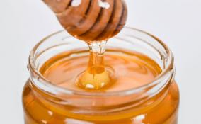 В Лодейном Поле продавщица поддельного мёда попыталась выкупить подругу, задержанную за мошенничество