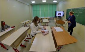 В Петербурге из-за коронавируса и ОРВИ на дистант ушли более 350 школьных классов