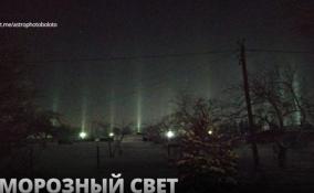 Морозный световой лес вырос в небе над Ленобластью и
Петербургом