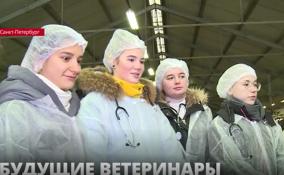 Студентам Петербургского государственного университета ветеринарной медицины провели занятия в стенах сельхозпредприятия «Детскосельский»