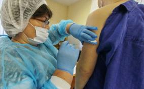 Более 60% взрослых жителей Ленобласти сделали прививку против COVID-19