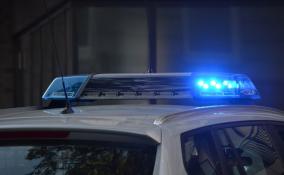 В Тосненском районе таксист напал на пассажирку и устроил стрельбу