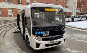 В январе на маршруты в Сертолово выйдут 18 новых автобусов