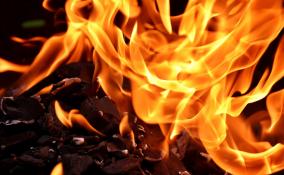 В Тихвинском районе мужчина погиб в пожаре в новогоднюю ночь