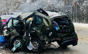 Страшная авария на Киевском шоссе под Гатчиной унесла две жизни