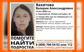 В Выборгском районе третий день разыскивают пропавшую 15-летнюю девочку