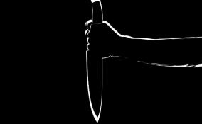 В Гатчинском районе 69-летняя пенсионерка ударила своего сожителя ножом в грудь