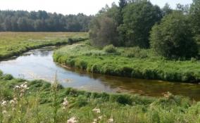 В Ломоносовском районе весной начнут расчищать реку Коваши