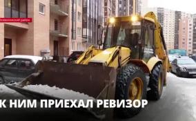 «Сроки будут максимально короткие»: специалист профильного комитета об уборке снега в Кудрово