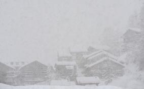 МЧС предупреждает жителей Ленинградской области о снегопаде и сильном ветре 17 января
