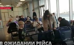 Пассажиры рейса Петербург-Хургада прождали посадки более 11
часов