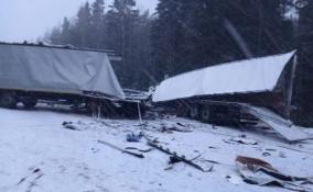 На трассе «Скандинавия» в результате лобового столкновения двух большегрузов погиб один из водителей