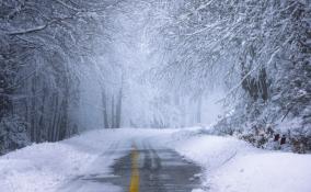 Жителей Ленобласти предупредили о снежных заносах и скользких дорогах с 31 января по 2 февраля