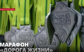 Во Всеволожском районе прошёл 53 ежегодный зимний марафон «Дорога жизни»