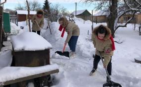 В Ленобласти волонтеры расчистили придомовые участки ветеранов и привели в порядок памятники