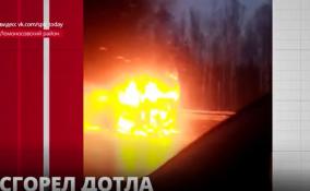 Пассажирский автобус сгорел дотла на трассе у поселка Ропша