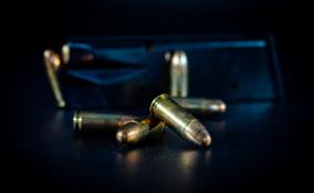 В Мурино стрелявшего в соседа пенсионера нашли мертвым в своей квартире
