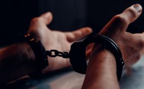 В Разметелево задержали гражданина Белоруссии, сбывающего наркотики в интернете