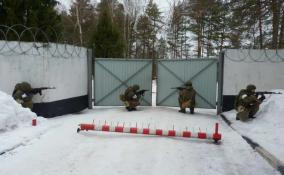 Свыше 200 бойцов предотвратили захват условных заложников в Ленобласти
