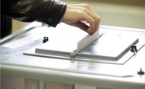 Более 20 тысяч жителей Ленинградской области проголосовали за территорию для благоустройства в следующем году