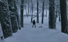Спасатели предупредили ленинградцев о снежных заносах и гололедице с 21 по 23 февраля