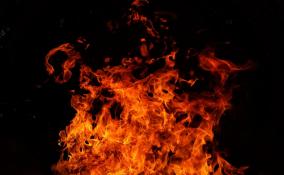 Человек сгорел в квартирном пожаре в Лужском районе