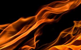 Пожар в Ленобласти могли устроить кредиторы бывшего хозяина дома