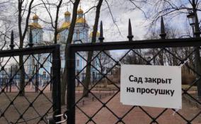 Городские парки и сады Санкт-Петербурга закроют на просушку