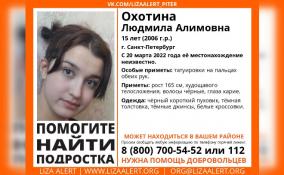 В Петербурге с прошлых выходных разыскивают 15-летнюю девочку