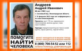 В Сосновом Бору разыскивают 60-летнего Андрея Андреева