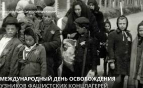 Международный день освобождения узников фашистских концлагерей: в Ленобласти прошла акция памяти у стелы «Гатчина - город воинской славы»