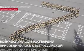 В Ленобласти военнослужащие Росгвардии приняли
участие во Всероссийской акции «Своих не бросаем»
