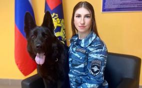 Поисковая собака Кадис разыскала в Петербурге убийцу 28-летней девушки