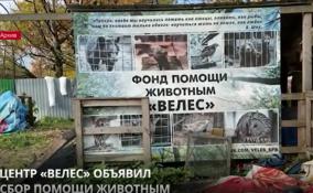 Центр «Велес» объявил сбор помощи животным Донбасса