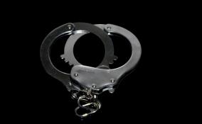 В Мурино задержали мужчину, находившегося в федеральном розыске